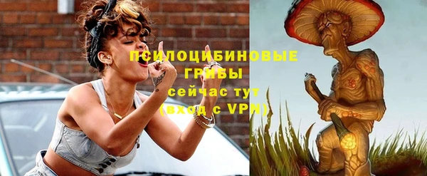 винт Верея